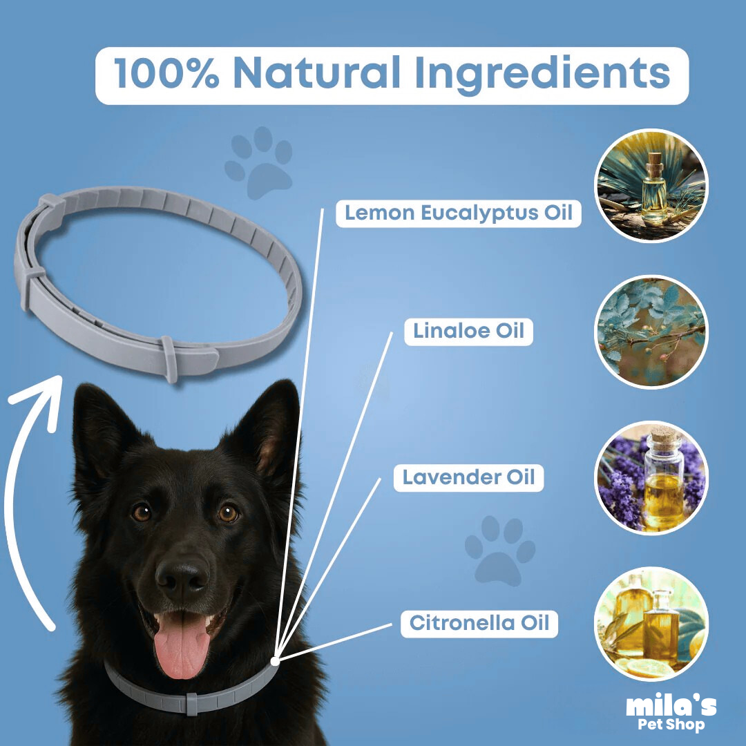 PawShield™ - Natural tick and flea protection collar