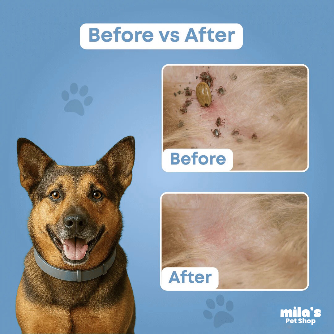 PawShield™ - Natural tick and flea protection collar