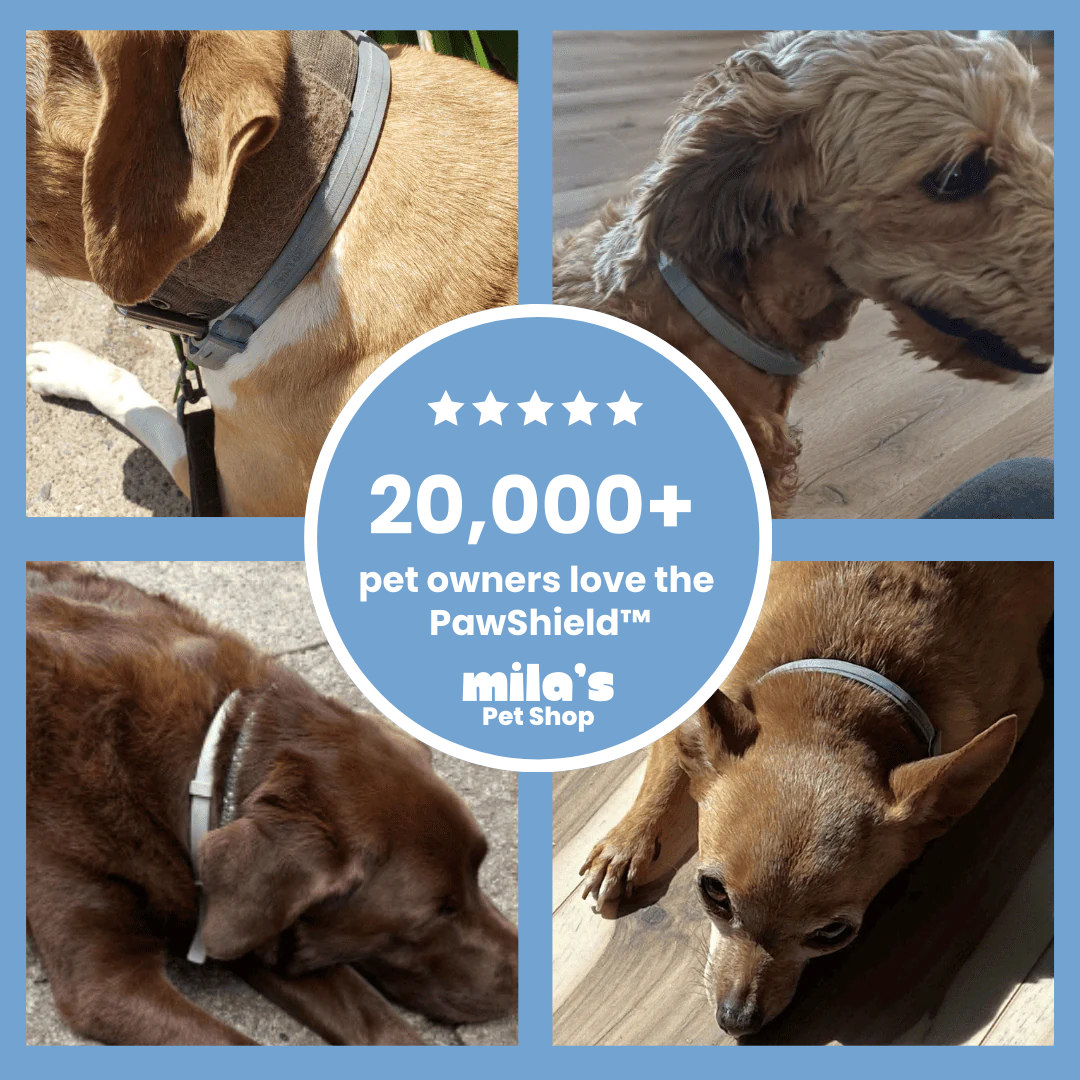 PawShield™ - Natural tick and flea protection collar