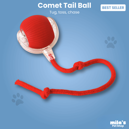 Comet Tail™ Ball - Pet interactive ball