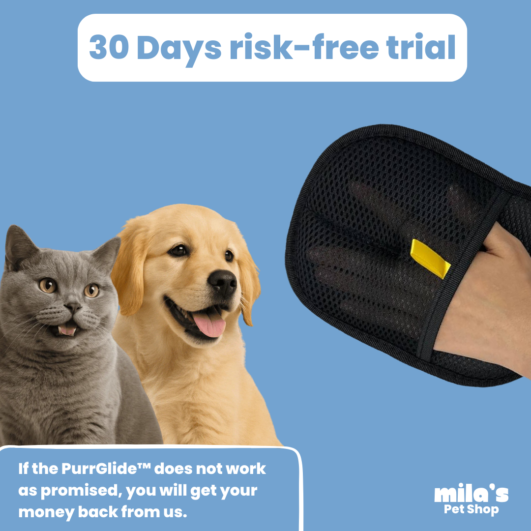 FurMagnet™ – Remove Pet Hair in Seconds