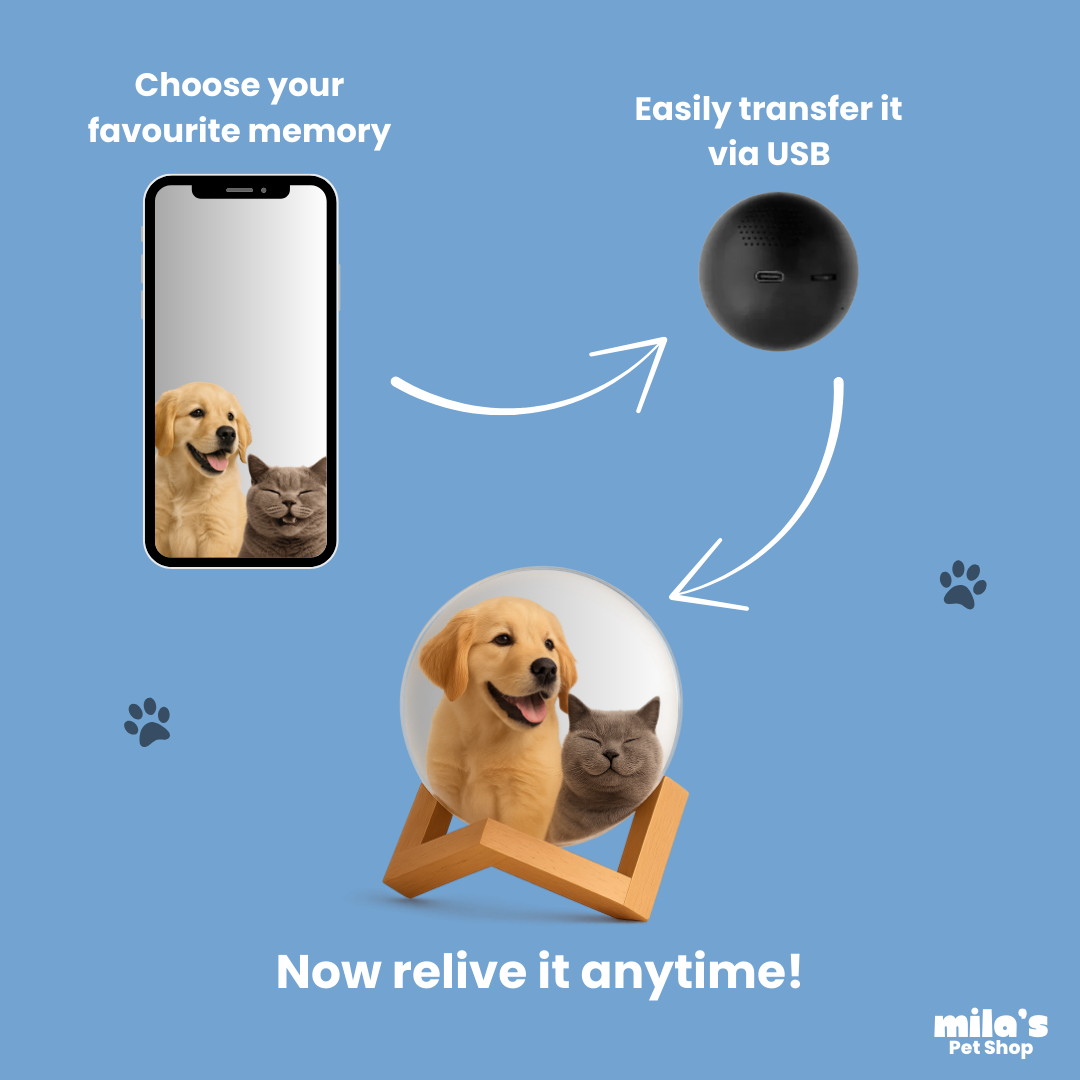 Memory Capsule™ - Relive your favourite moments