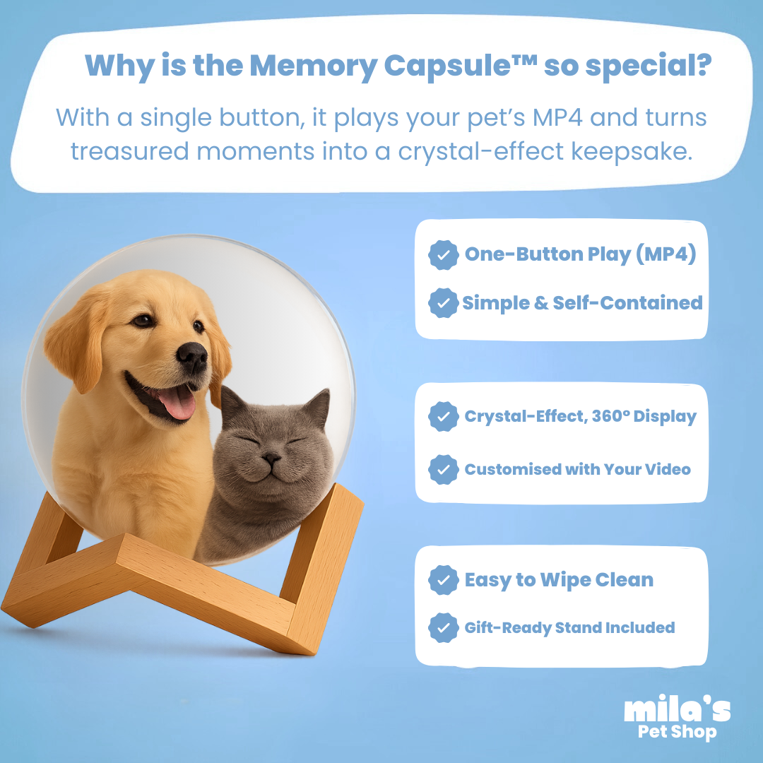 Memory Capsule™ - Relive your favourite moments