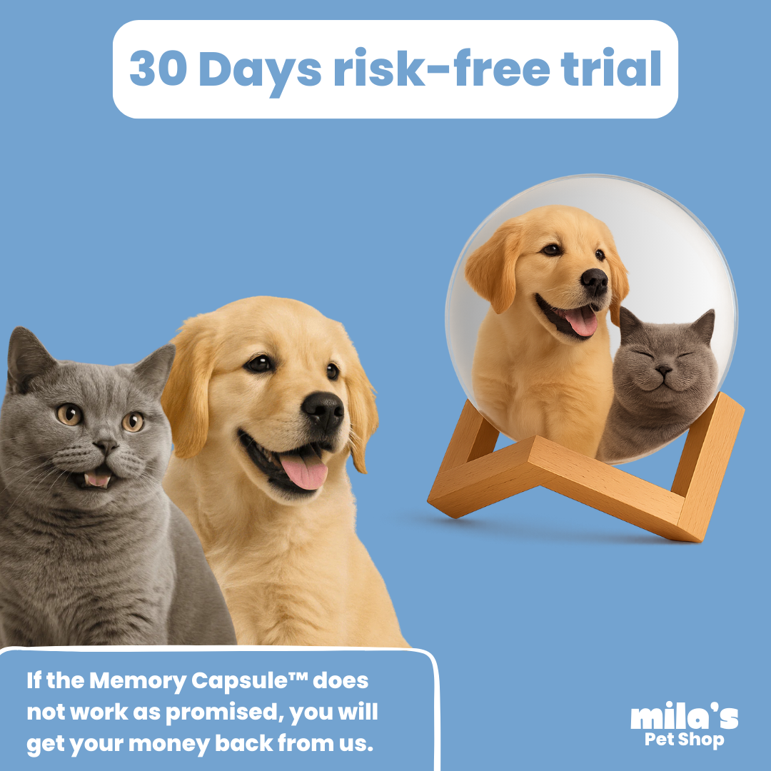 Memory Capsule™ - Relive your favourite moments
