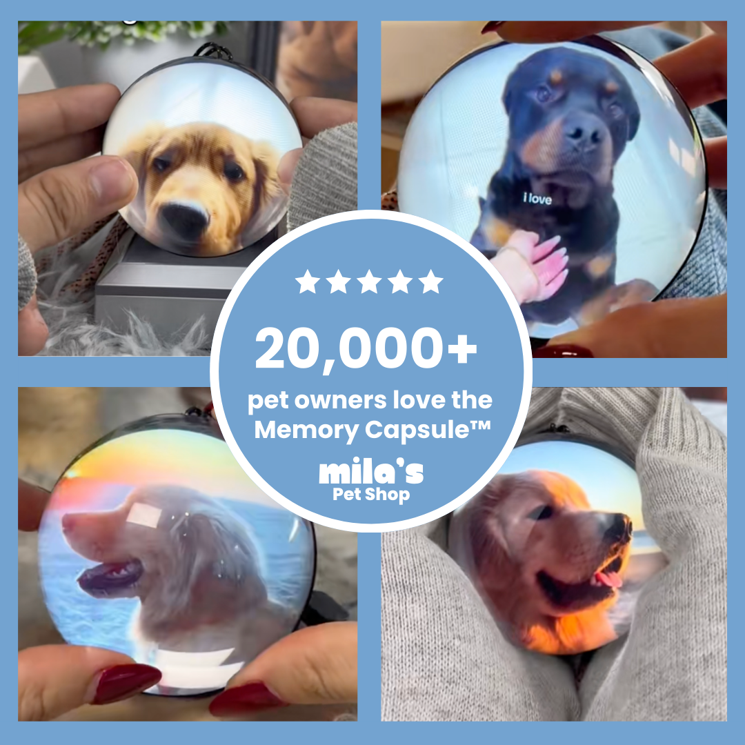 Memory Capsule™ - Relive your favourite moments