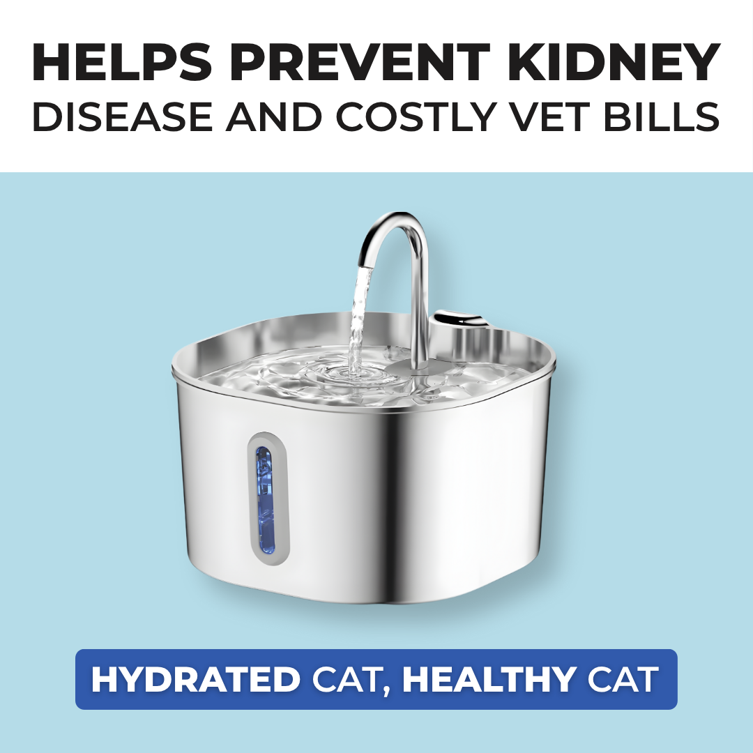 Protect your cat from dehydration and urinary emergencies with PurrFlow