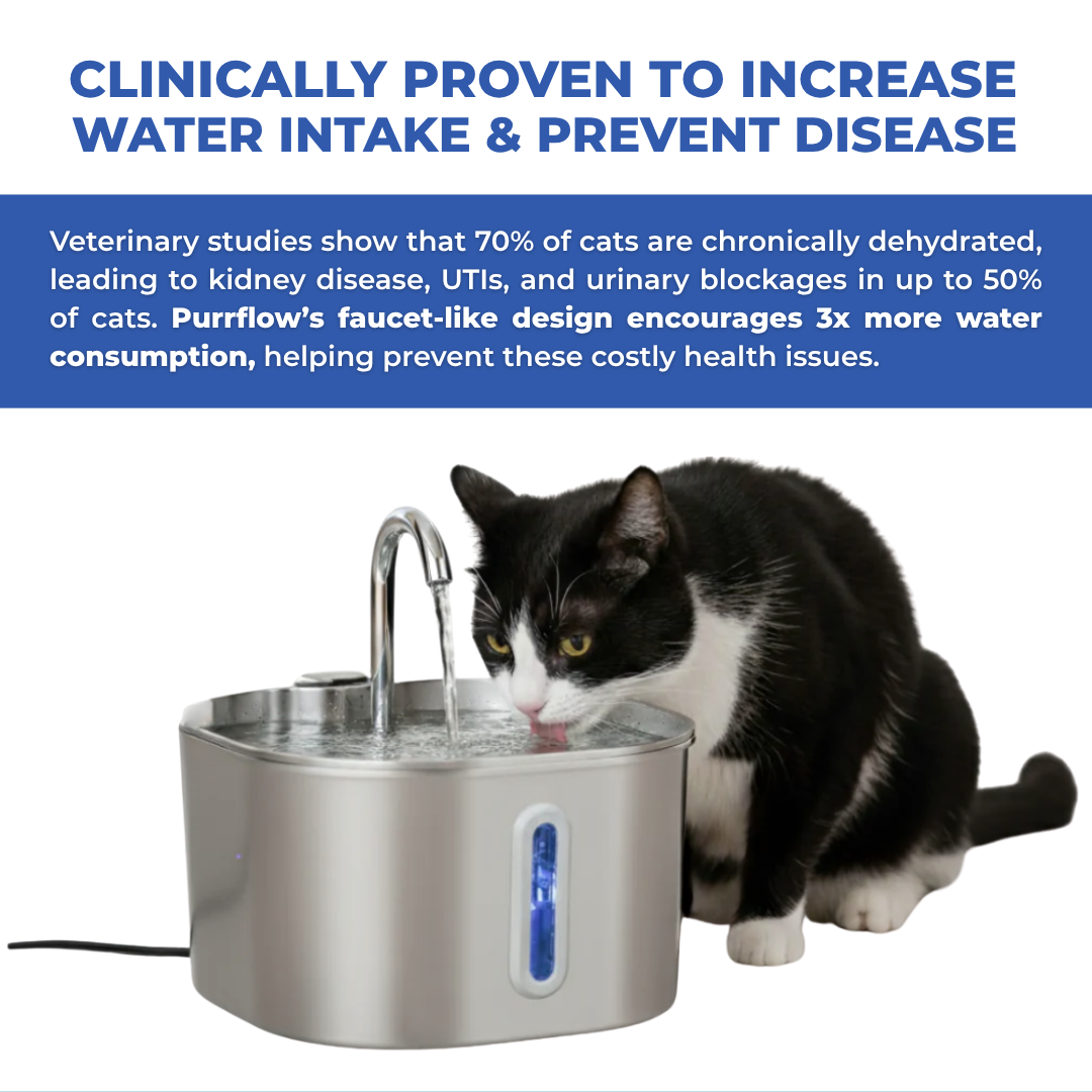 Protect your cat from dehydration and urinary emergencies with PurrFlow