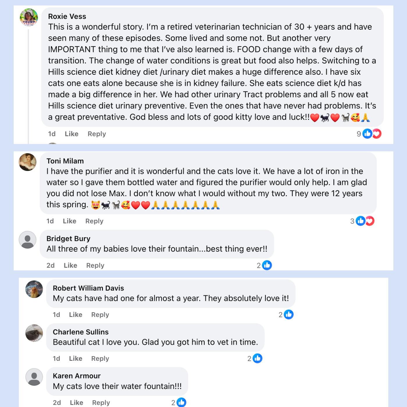 Protect your cat from dehydration and urinary emergencies with PurrFlow