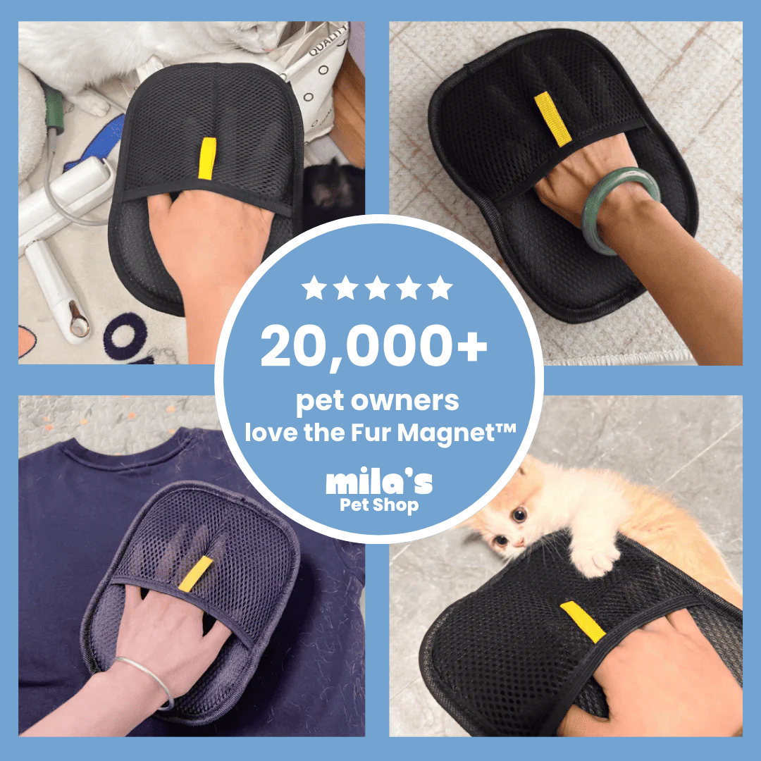 FurMagnet™ – Remove Pet Hair in Seconds