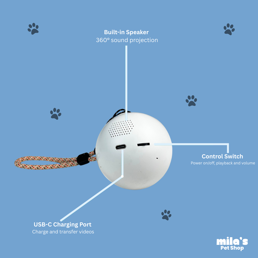 Memory Capsule™ - Relive your favourite moments