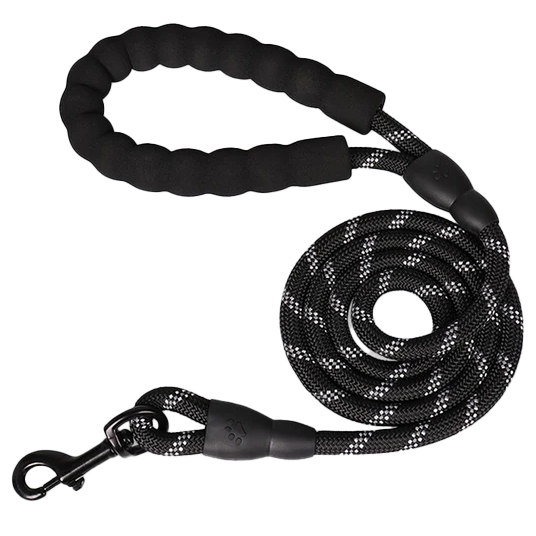 FREE Rope Dog Leash