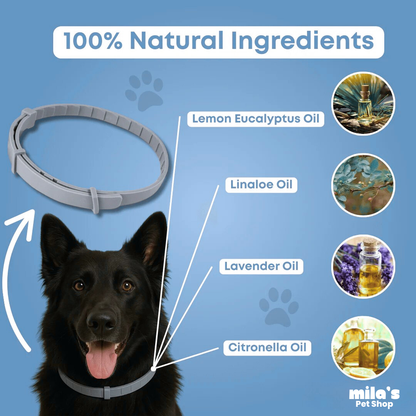 PawShield™ - Natural tick and flea protection collar