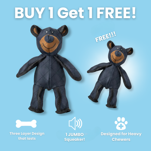 The Indestructibear™