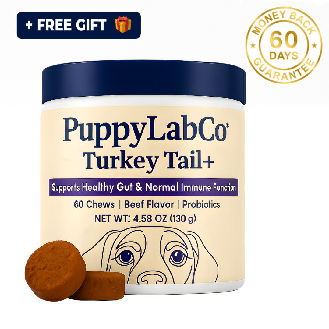 TurkeyTail+ Probiotics™ Formula