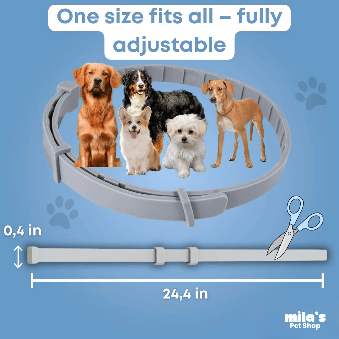 PawShield™ - Natural tick and flea protection collar