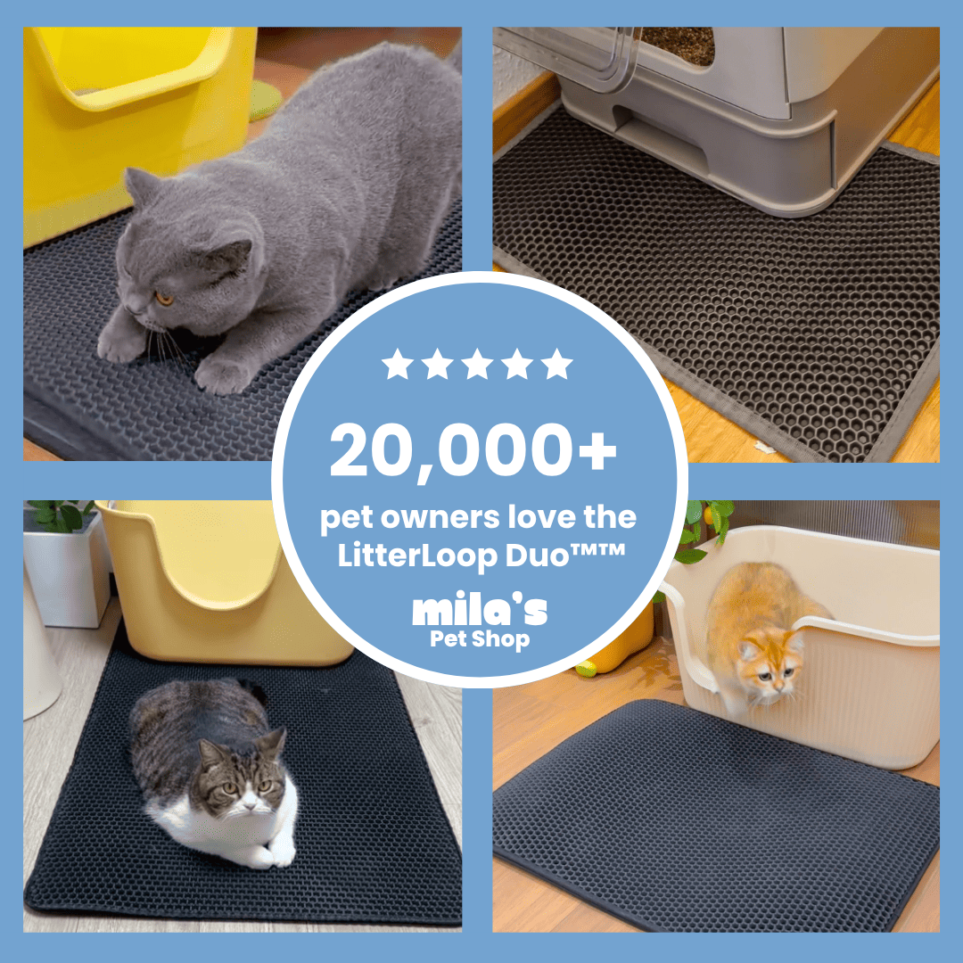LitterLoop Duo™ - Cat Litter Mat