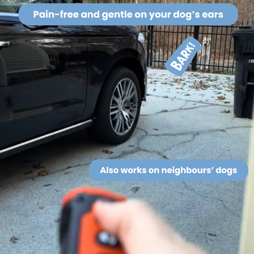 HushPup™ Pro - Anti-Bark Device