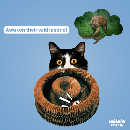 Spiral Purr™