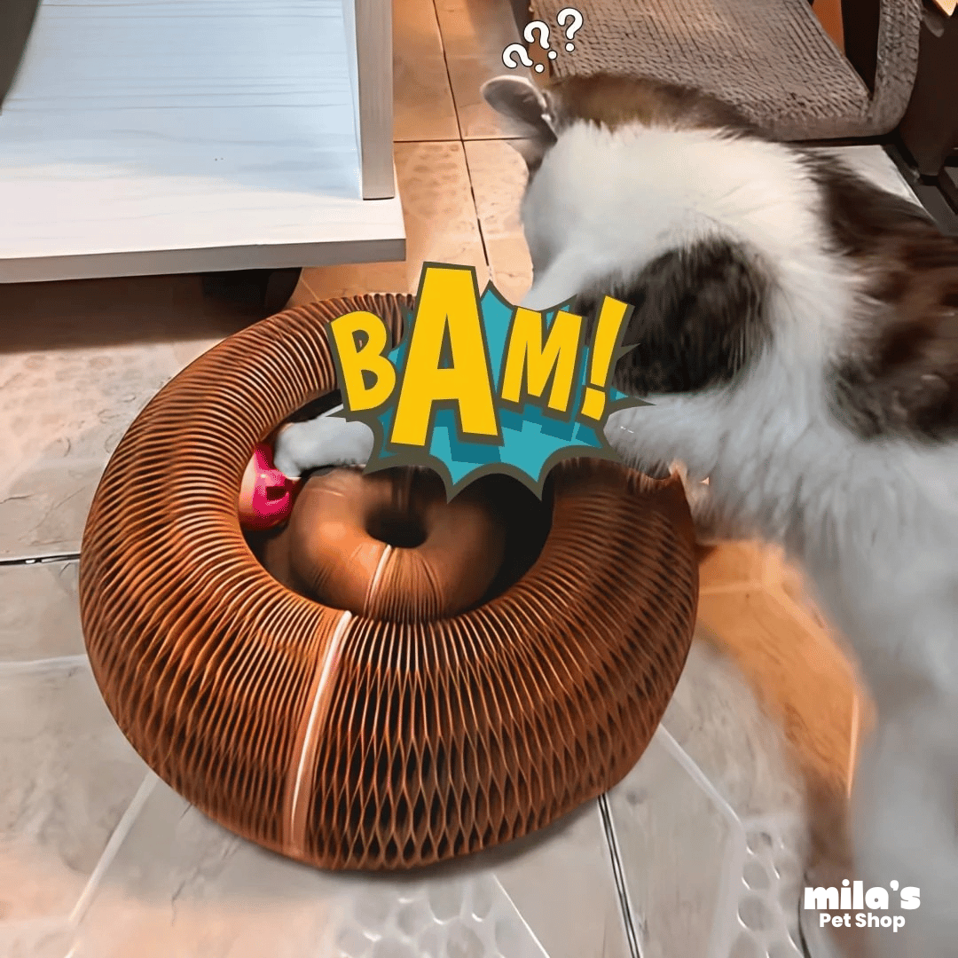 Spiral Purr™