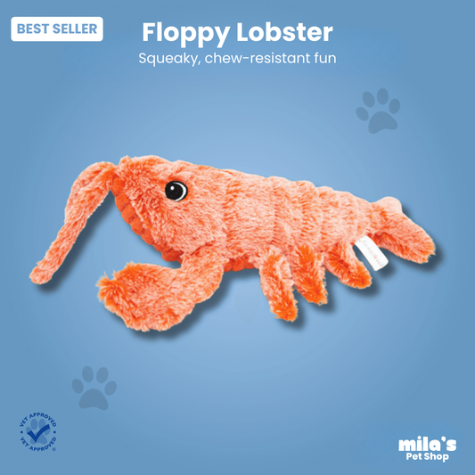 Floppy Lobster™