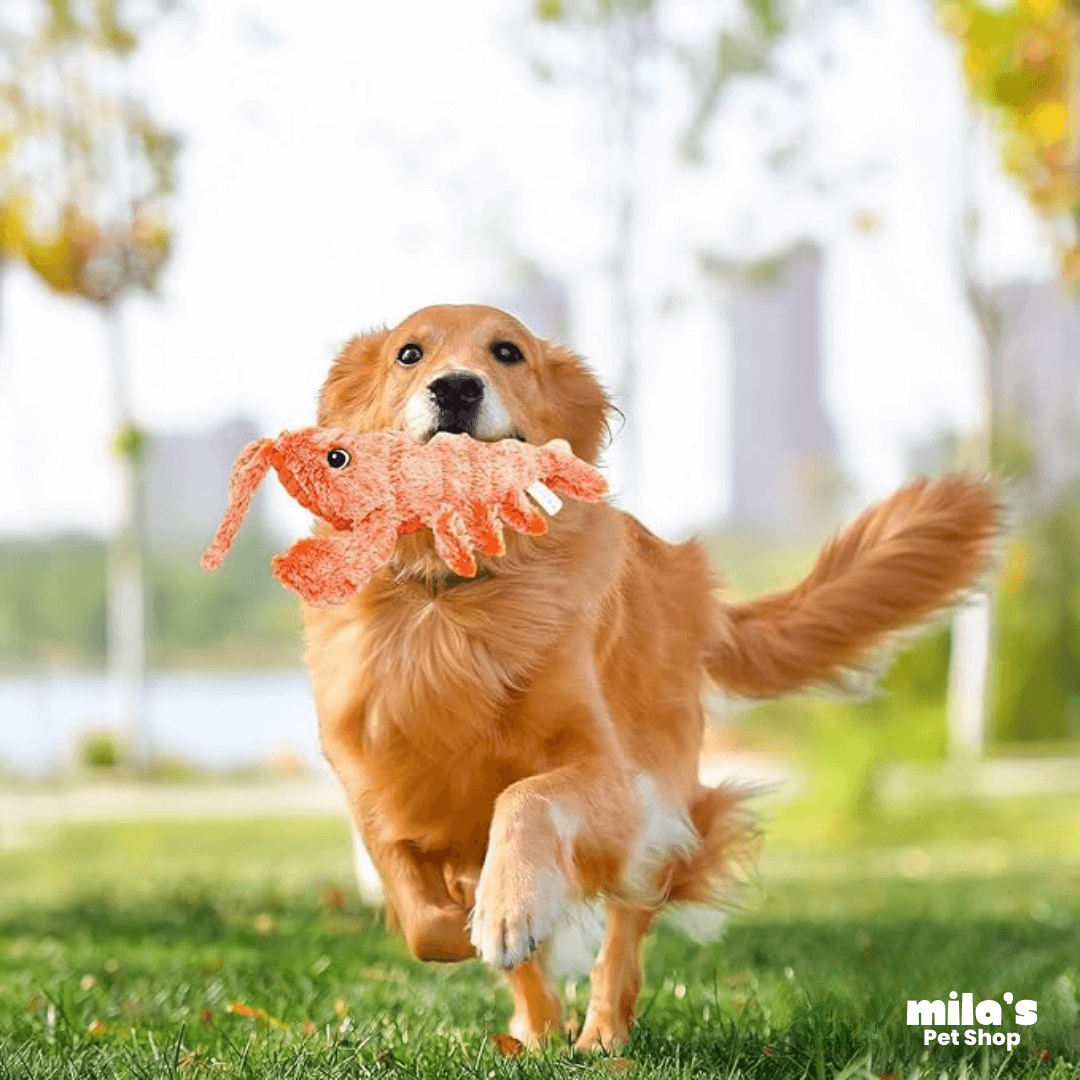 Floppy Lobster™