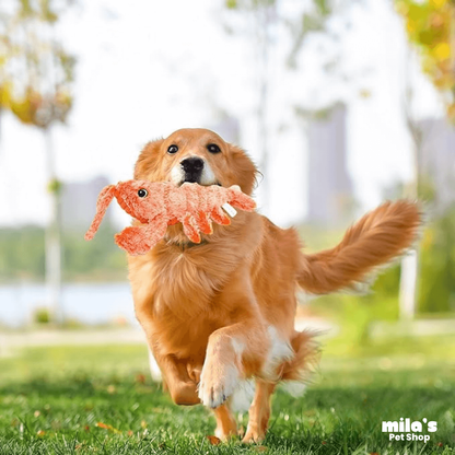 Floppy Lobster™