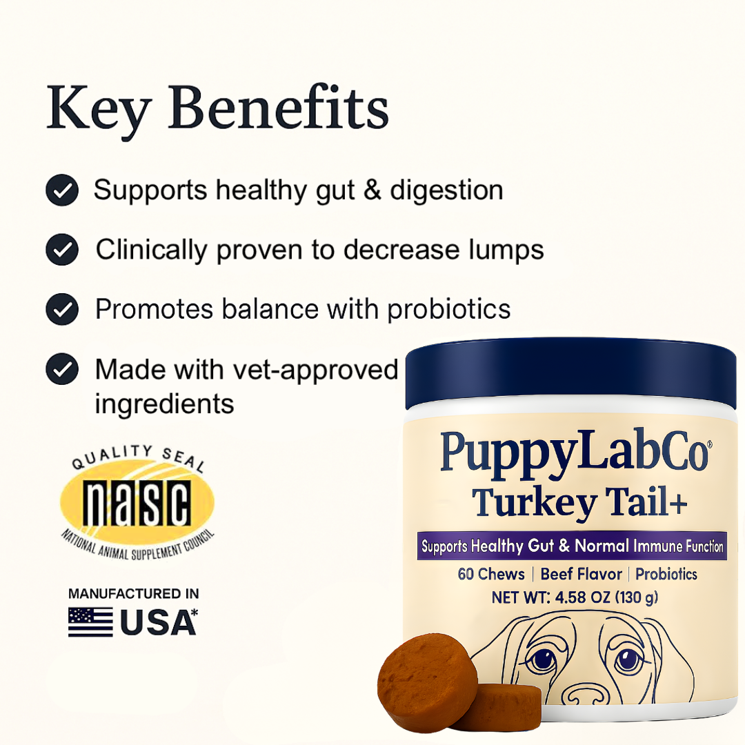 TurkeyTail+ Probiotics™ Formula