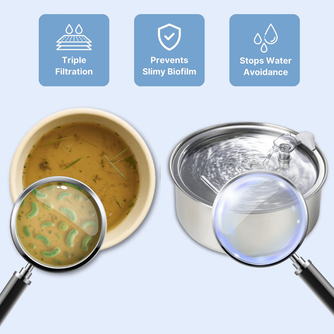 PupFlow™ - The Antibacterial Water Fountain with Filtration