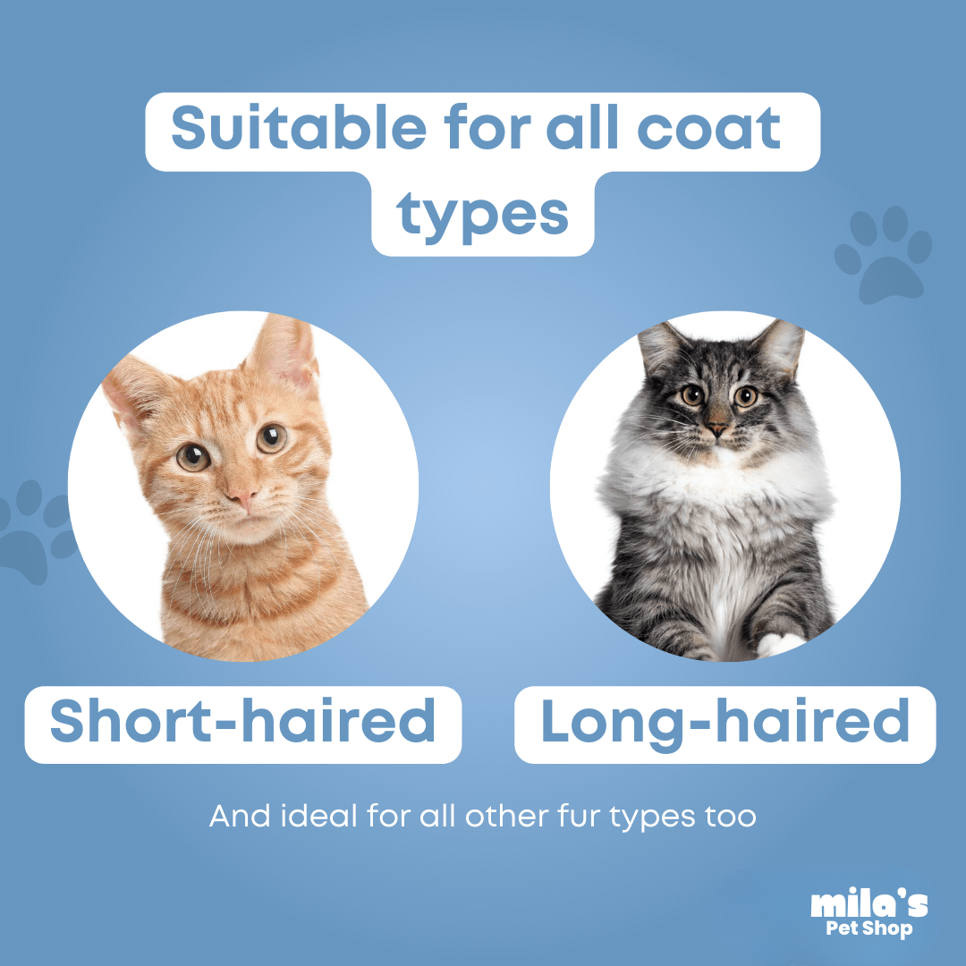 MistGroom™ Steam Brush