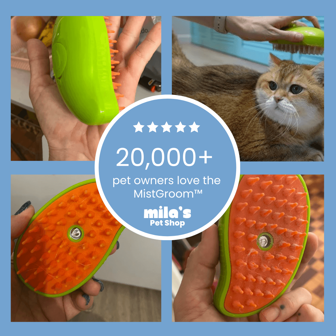MistGroom™ Steam Brush