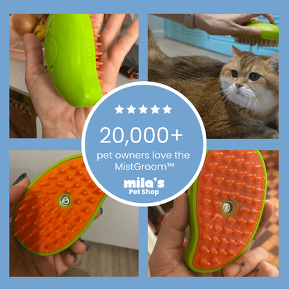 MistGroom™ Steam Brush