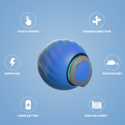 Speedzy™ Ball