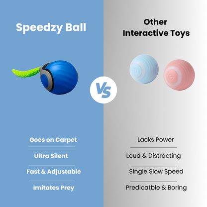 Speedzy™ Ball