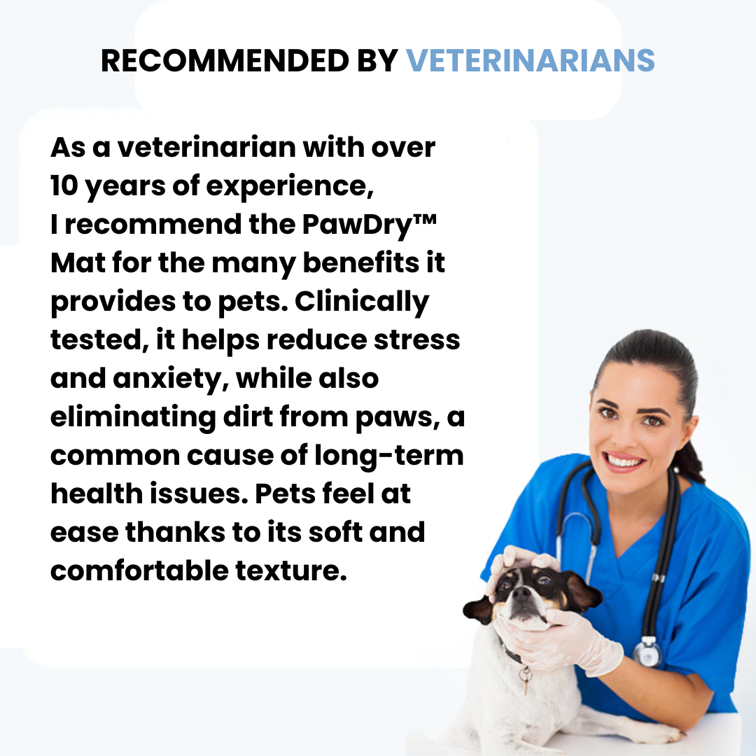 PawDry™ Mud-Stopping Washable Dog Mat