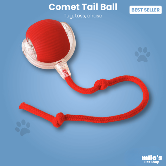 Comet Tail™ Ball - Pet interactive ball