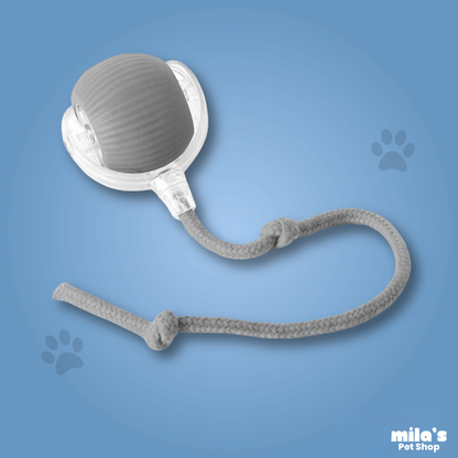 Comet Tail™ Ball - Pet interactive ball
