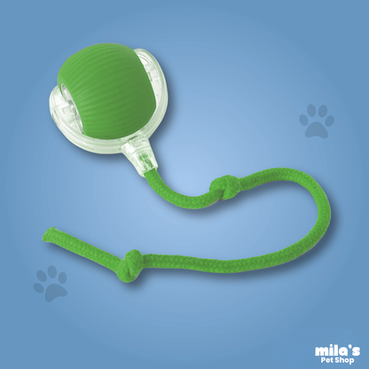 Comet Tail™ Ball - Pet interactive ball