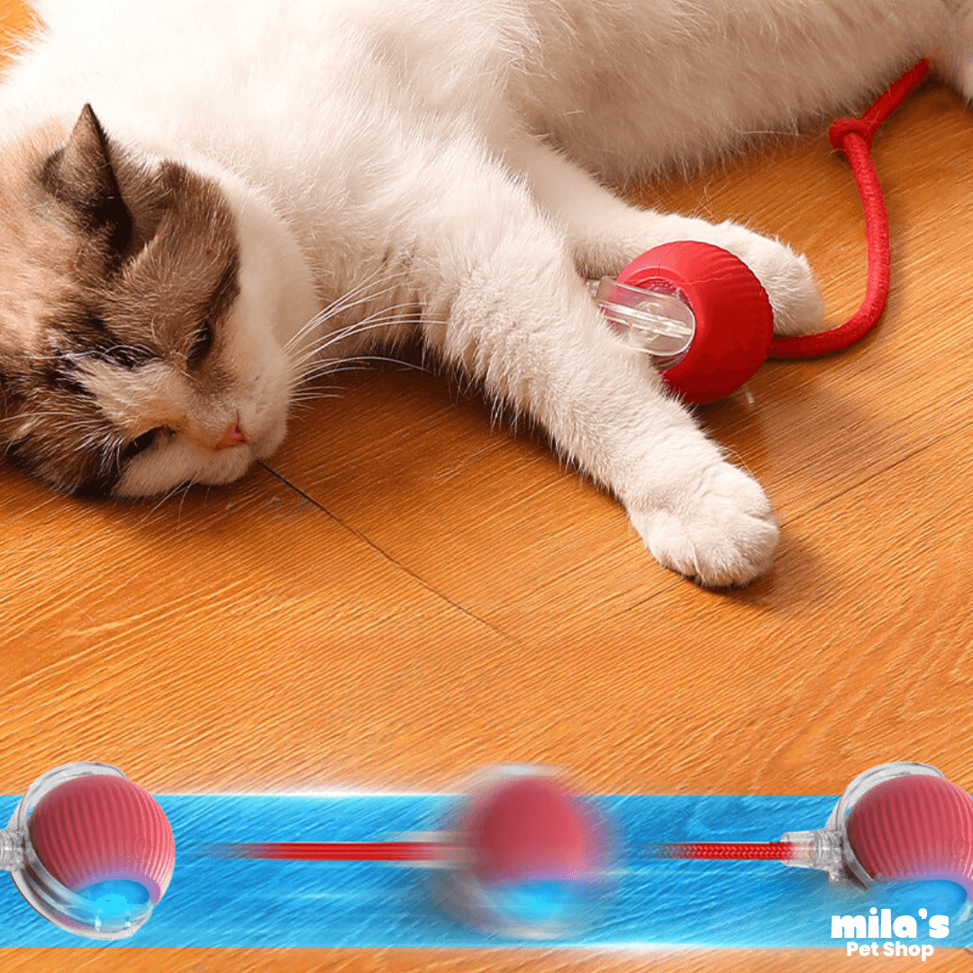 Comet Tail™ Ball - Pet interactive ball