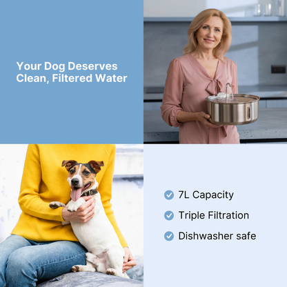 PupFlow™ - The Antibacterial Water Fountain with Filtration