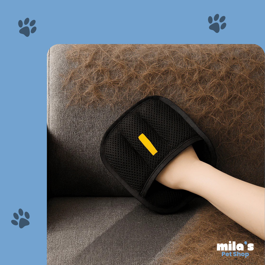 FurMagnet™ – Remove Pet Hair in Seconds