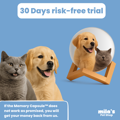 Memory Capsule™ - Relive your favourite moments