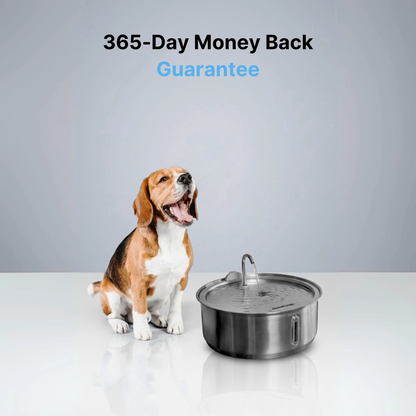 PupFlow™ - The Antibacterial Water Fountain with Filtration