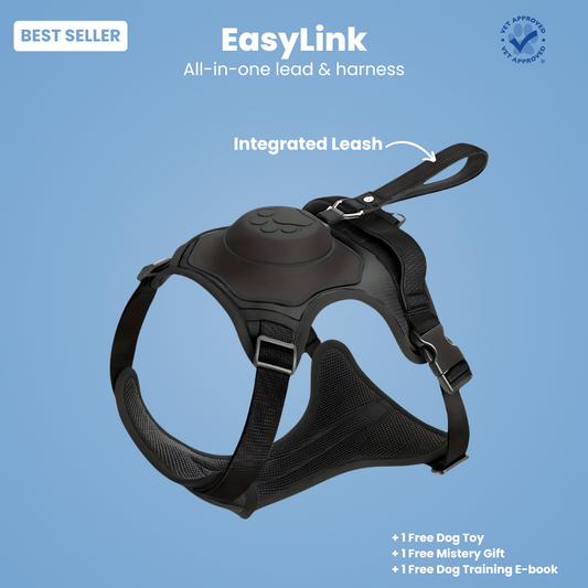 EasyLink™ - All in one leash & harness