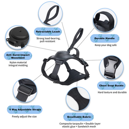 EasyLink™ - All in one leash & harness