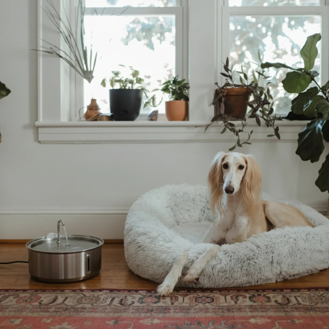 PupFlow™ - The Antibacterial Water Fountain with Filtration