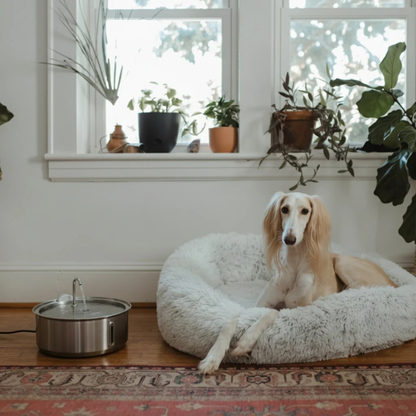 PupFlow™ - The Antibacterial Water Fountain with Filtration