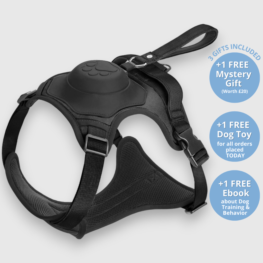 EasyLink™ - All in one leash & harness
