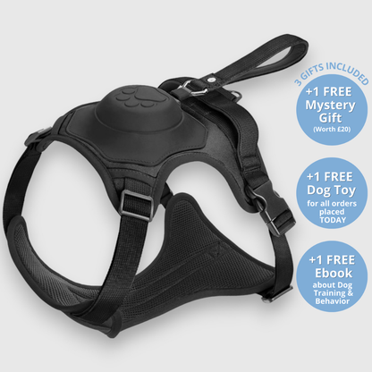 EasyLink™ - All in one leash & harness