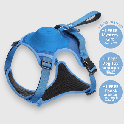 EasyLink™ - All in one leash & harness