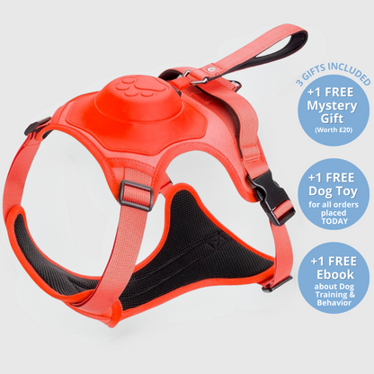 EasyLink™ - All in one leash & harness